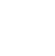 •-TB-brain03-•-cognition-•-flat